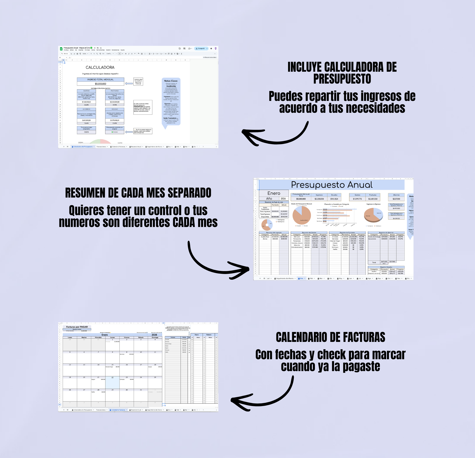 Presupuesto Anual Avanzado
