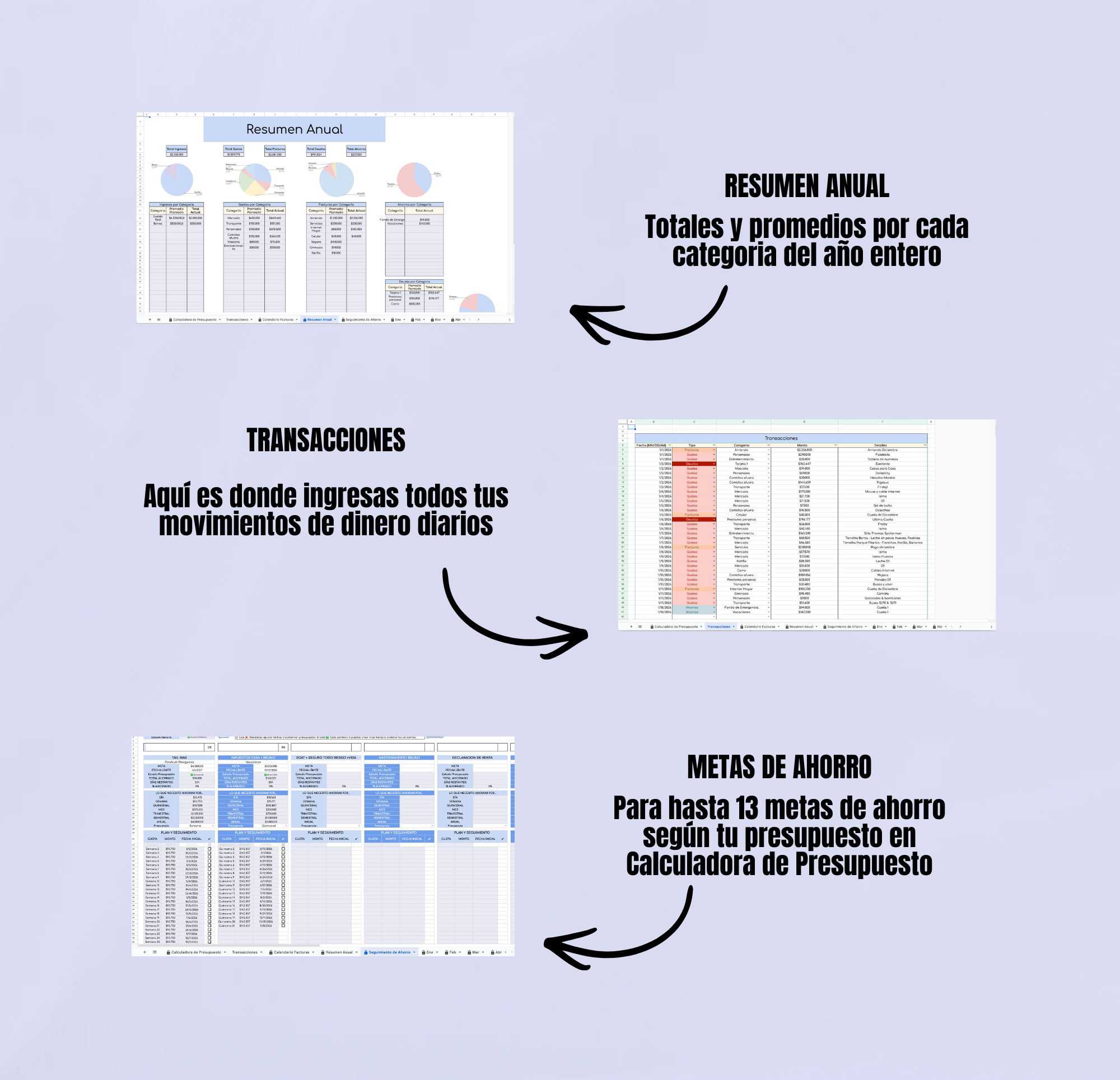 Presupuesto Anual Avanzado